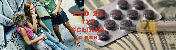 PSILOCYBIN Алексеевка