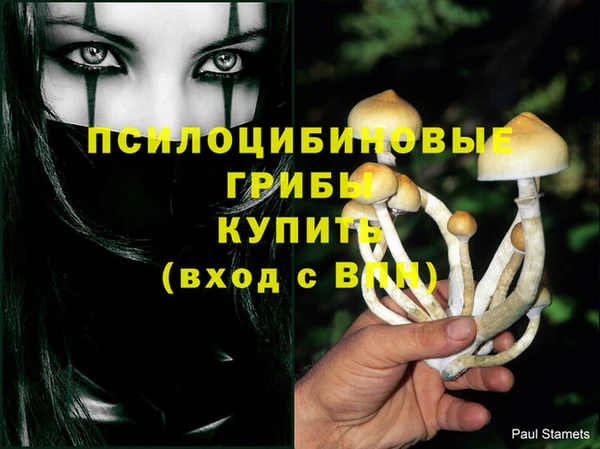PSILOCYBIN Алексеевка