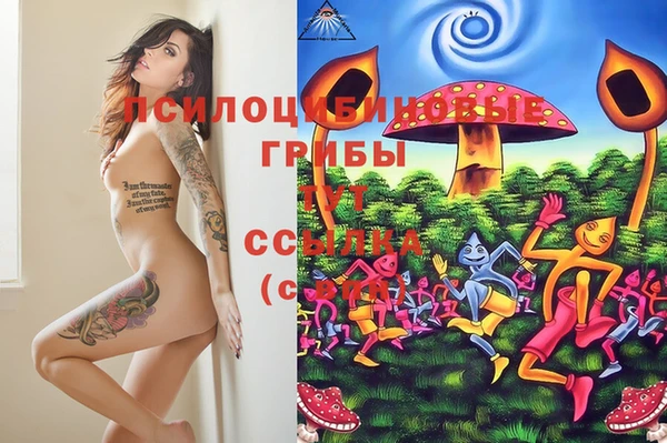 PSILOCYBIN Алексеевка